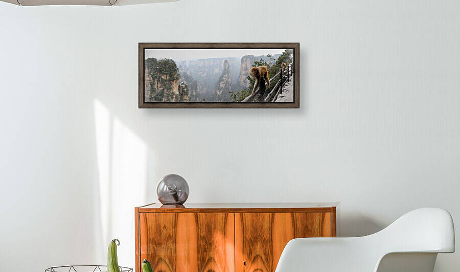 Macaques | Wulingyuan District Zhangjiajie Hunan China by Jetlag and Wanderlust