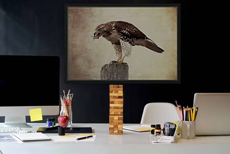 Meal Time for a Hawk by Michel Soucy