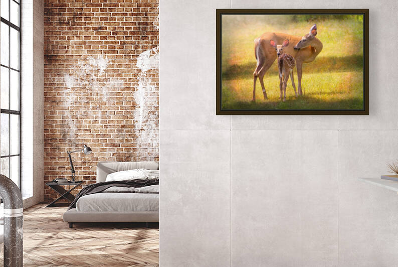 Doe with fawn looking back by Michel Soucy