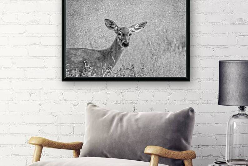 Pretty Doe by Michel Soucy