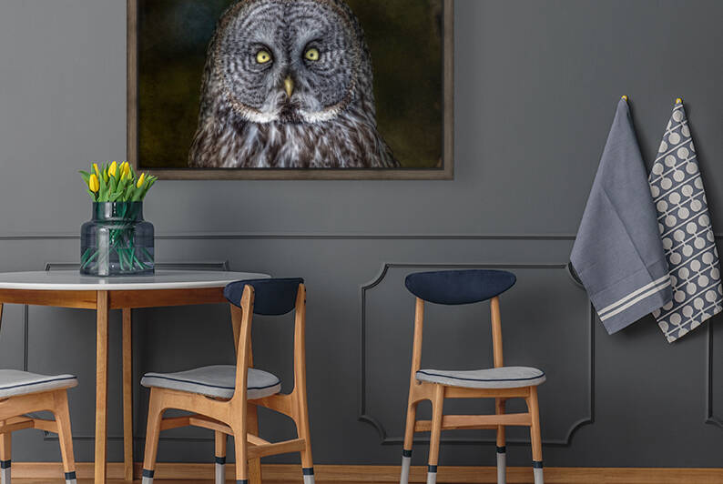 Stare Down with a Great Grey Owl by Michel Soucy