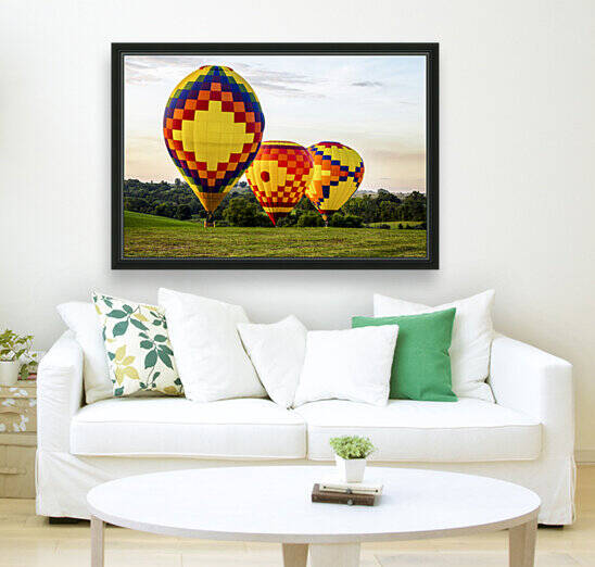 Colorful balloons land at the National Balloon Classic by Canvapro