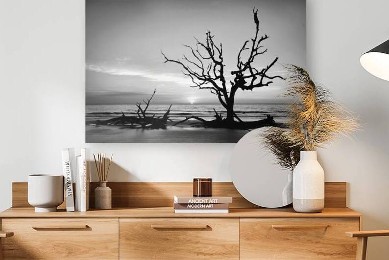 Iconic Tree Sunrise Driftwood Beach Black and White by Bill Swartwout Photography