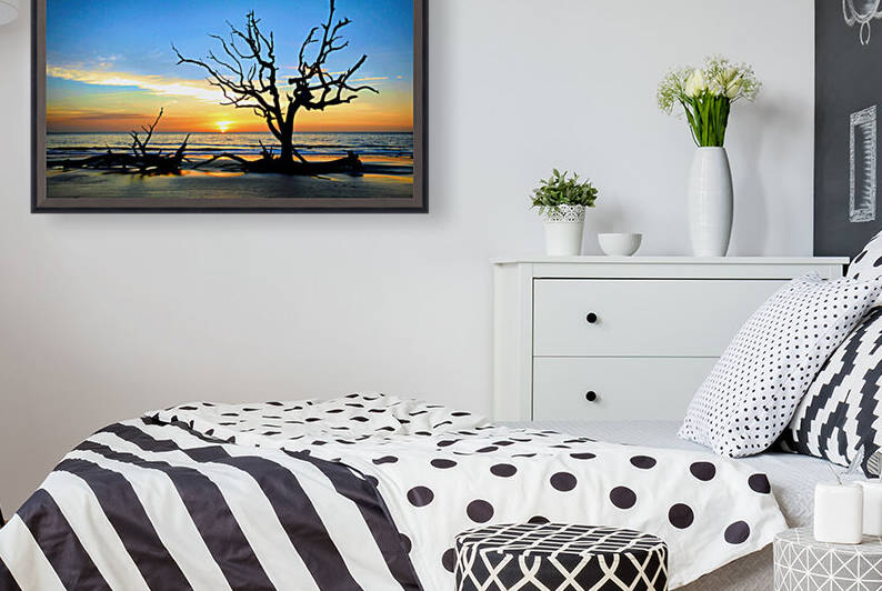 Iconic Tree Sunrise Driftwood Beach Enhanced by Bill Swartwout Photography