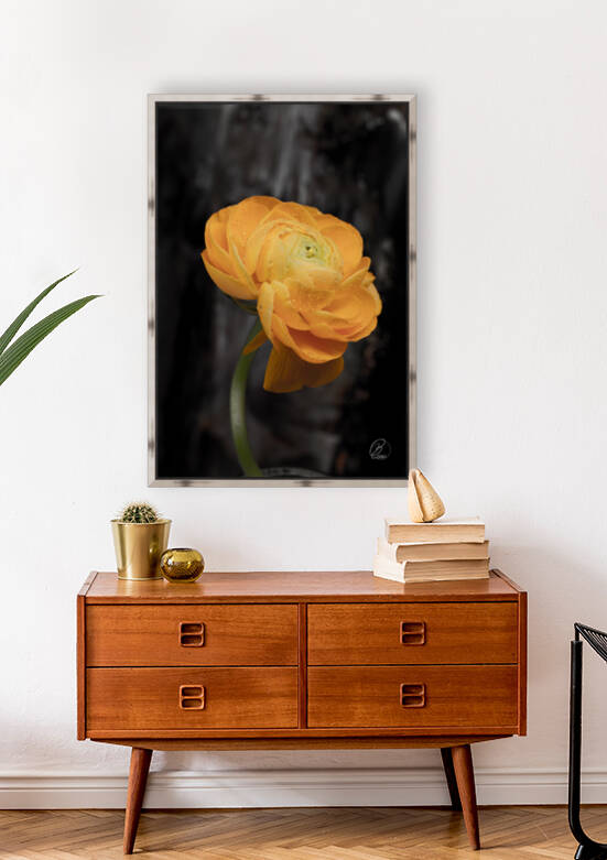 Unforgettable  by Bivi Franco