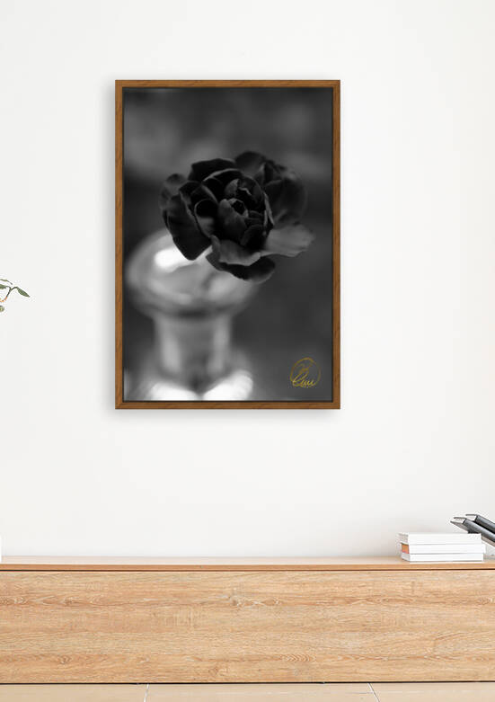 In an Instant  by Bivi Franco