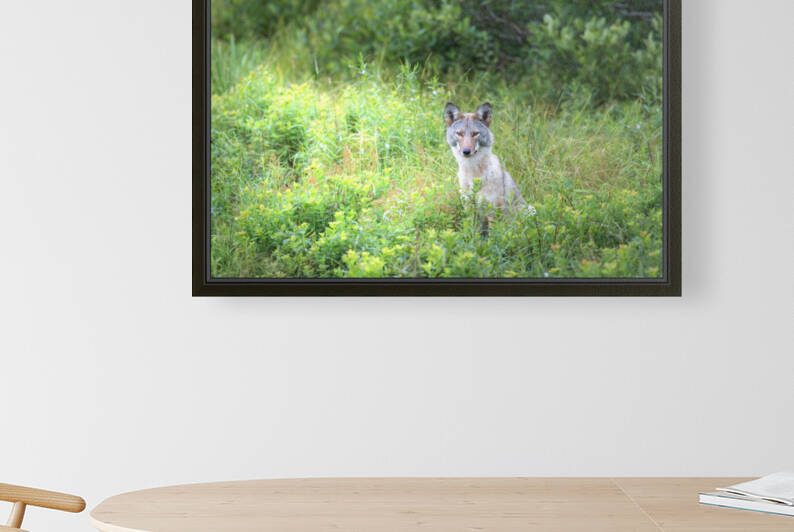 Sitting Pretty by Michel Soucy