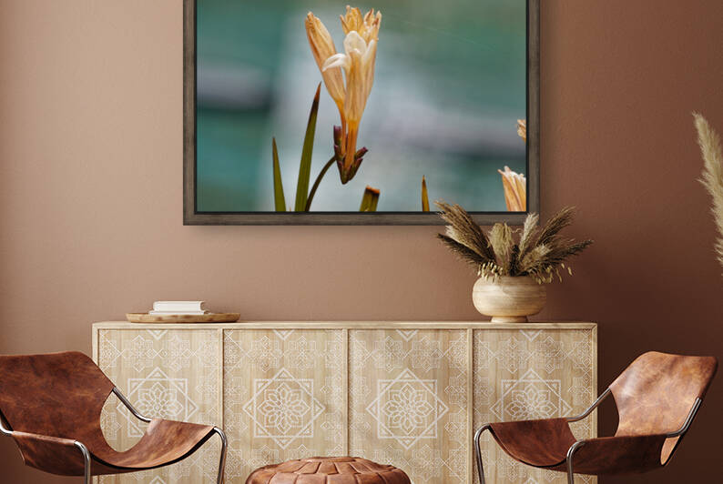 20210414IMG 8060 by Lapissable