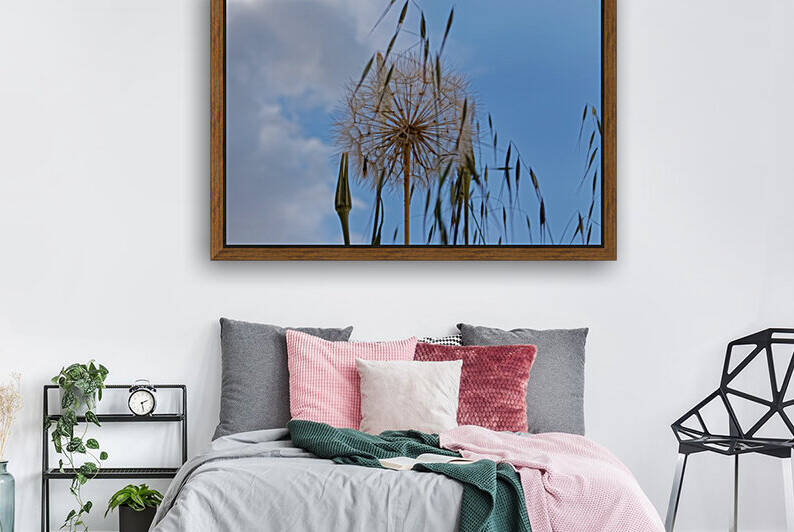 20210407IMG 8404 by Lapissable