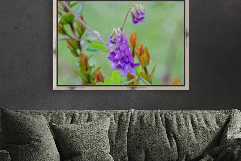 20210414IMG 8075 by Lapissable