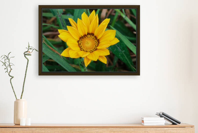 20210414IMG 8082 by Lapissable