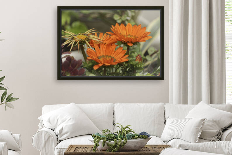 190420  MG 3238 by Lapissable