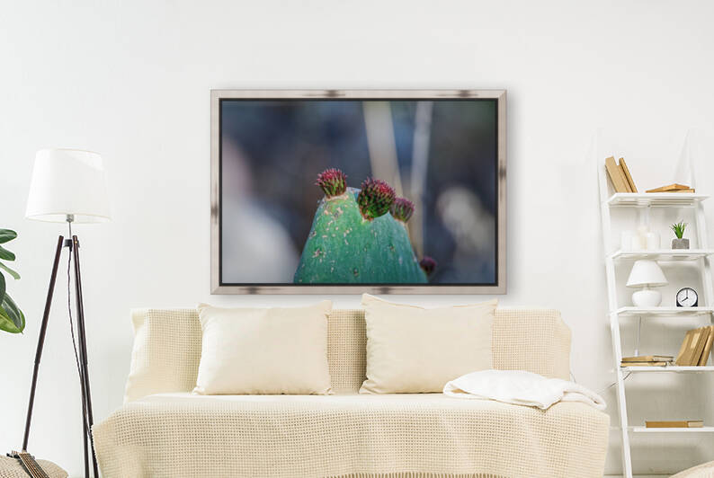 20210514IMG 9723 by Lapissable