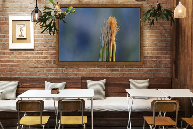 20210409IMG 8494 by Lapissable