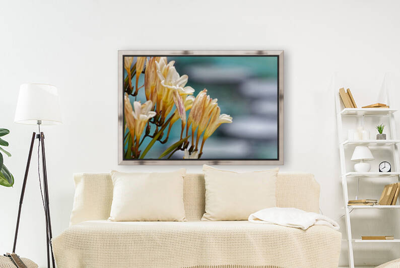 20210414IMG 8058 by Lapissable