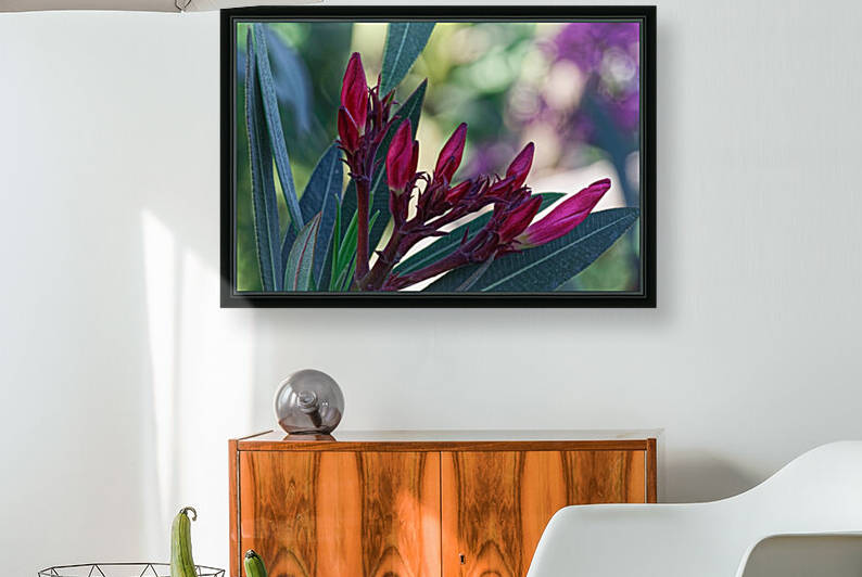 20210508IMG 9264 by Lapissable