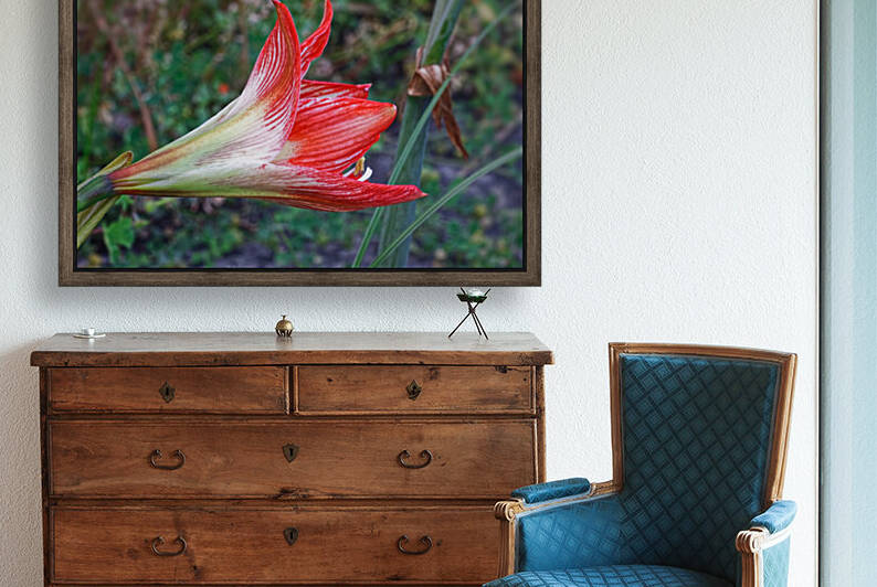 20210513IMG 9605 by Lapissable