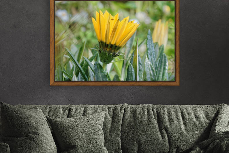 20210414IMG 8078 by Lapissable