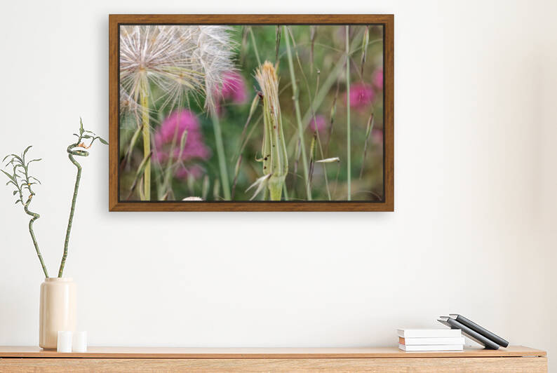 20210410IMG 8577 by Lapissable