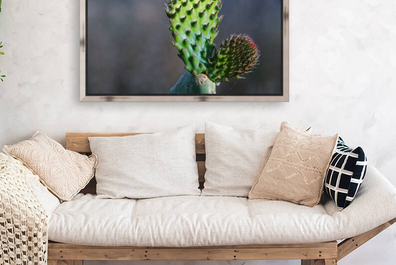 20210514IMG 9721 by Lapissable