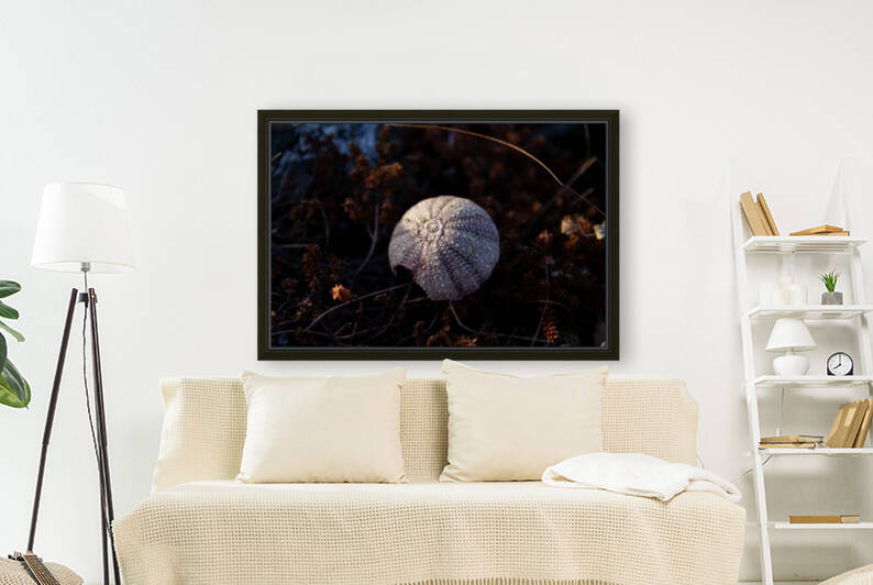 Ozzy egg by Dawn Evans