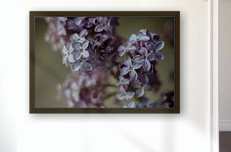 Lilacs by Dawn Evans