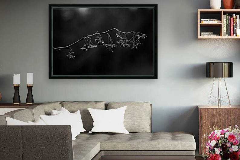 Dainty flowers by Dawn Evans