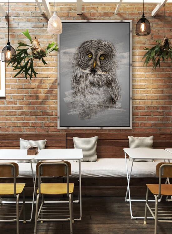 Chouette by Photobec