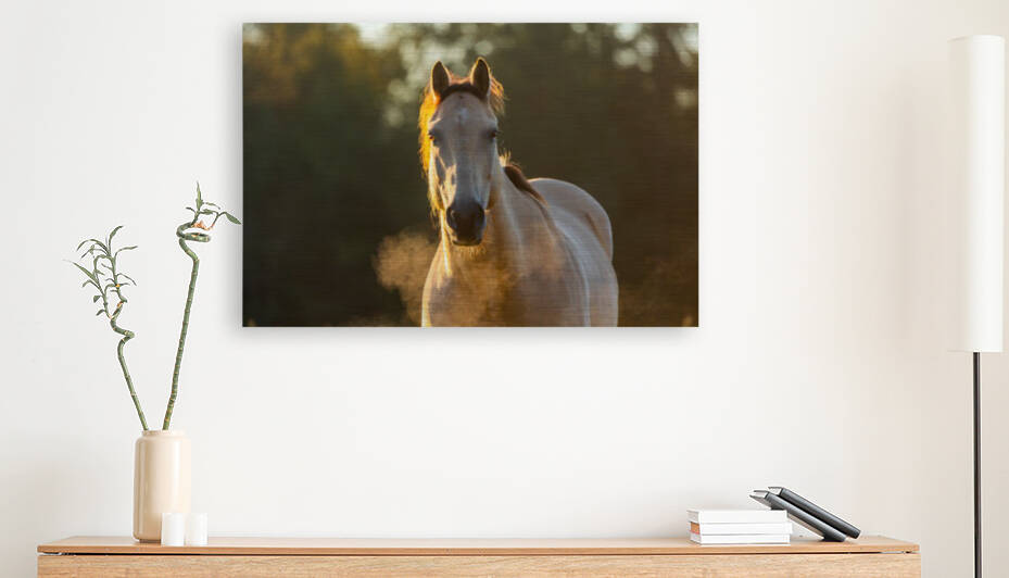 Horse Breath at Sunrise by Joe Riederer