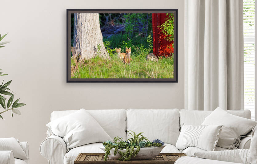 Foxy Faces by Deb Oppermann