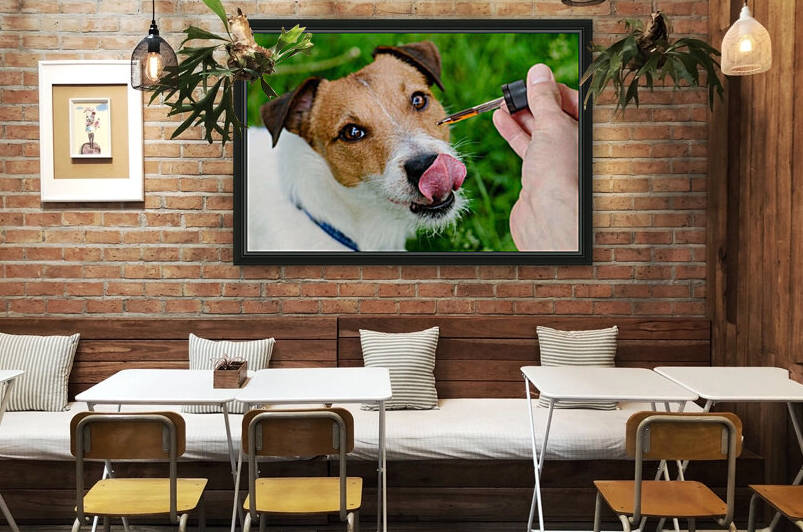 best dogs by Gerald Reynell