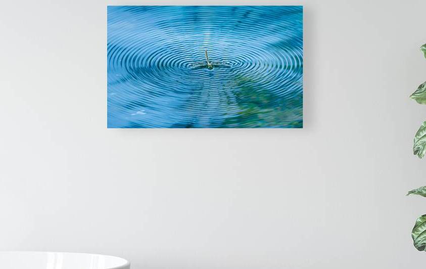 Dragonfly on Water by Joe Riederer