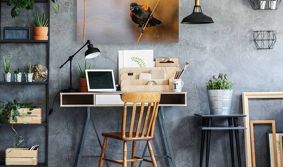 Red-winged Blackbird in Marsh by Joe Riederer