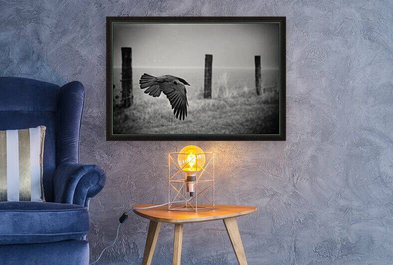 the day of the Raven by 1x