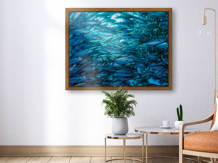 Fast Moving School of Jacks by 1x