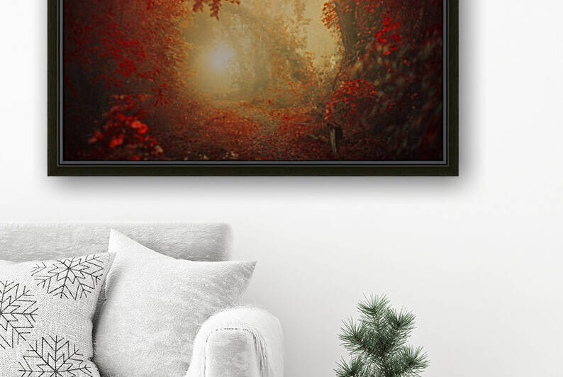 Personal Journey by 1x