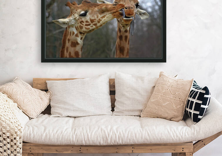 Happy Valentine by 1x