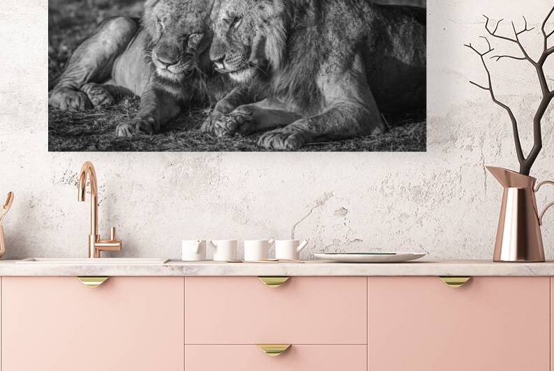 The aging alliance. by 1x