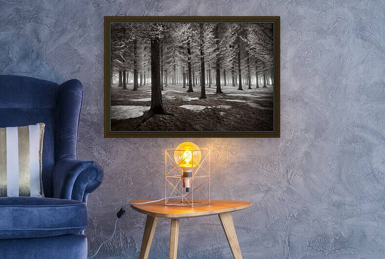 The onset of winter by 1x