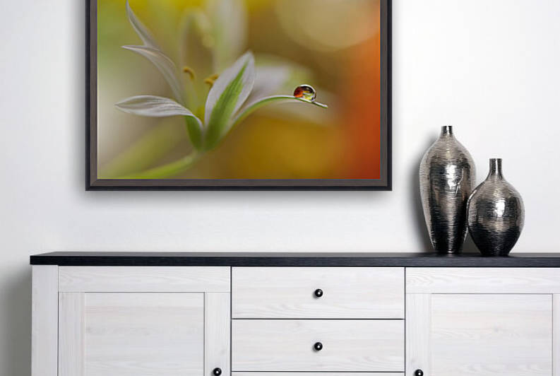 Sound Of Colors... by 1x