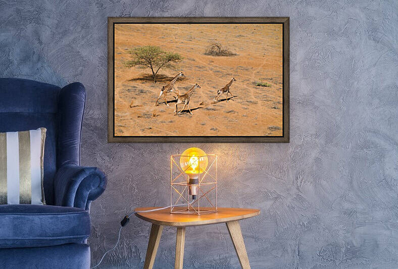 Family Paradise by 1x