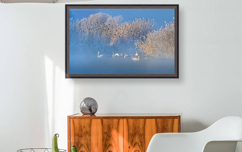 Blue Swan Lake by 1x