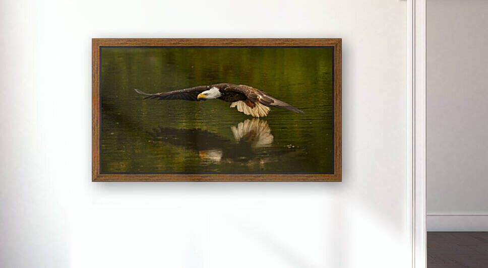 The Reflective Pond by 1x