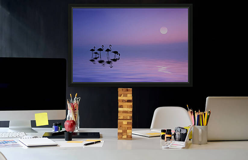 Morning Flamingo by 1x