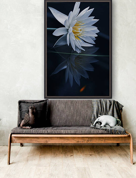 Reflecting world by 1x