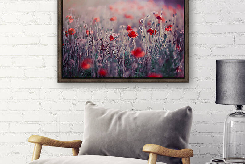 Poppy Meadow by 1x