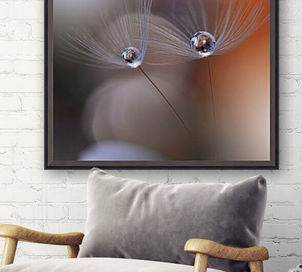 Immortal Love.. by 1x