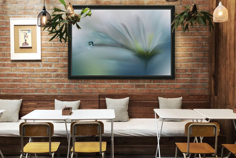 Fields of Hope.. by 1x