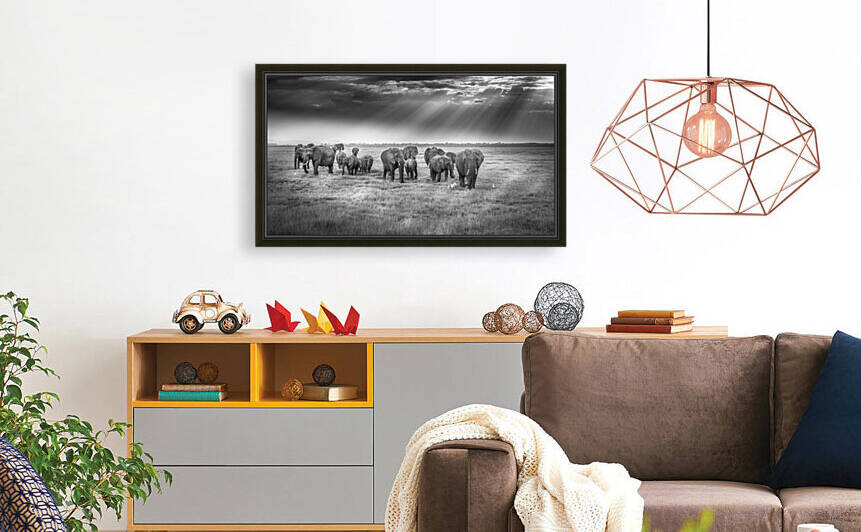 Breakfast with pachyderms by 1x