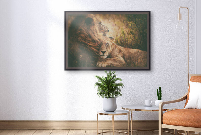 We qflyq together by 1x